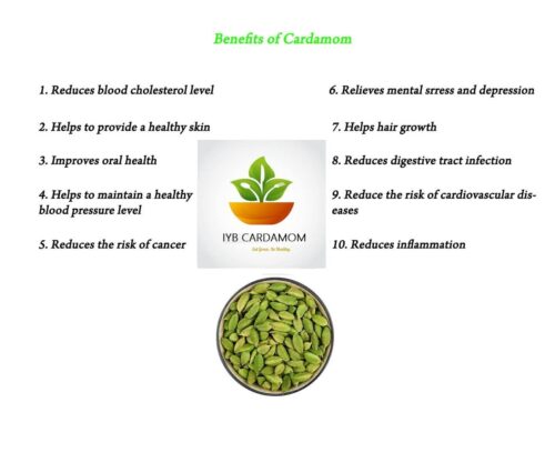 "Premium 8MM Green Cardamom Pods - Handpicked, Fresh & Aromatic Spice from Kerala, India - Flavorful and Authentic" (100 gm) - Image 6