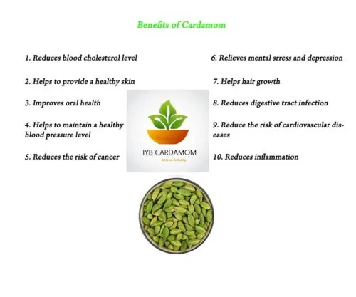 "Premium 8MM Green Cardamom Pods - Handpicked, Fresh & Aromatic Spice from Kerala, India - Flavorful and Authentic" (100 gm) - Image 6