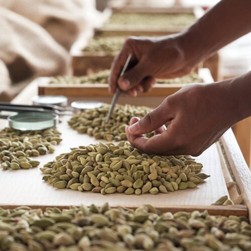 "Premium 8MM Green Cardamom Pods - Handpicked, Fresh & Aromatic Spice from Kerala, India - Flavorful and Authentic" (100 gm) - Image 7